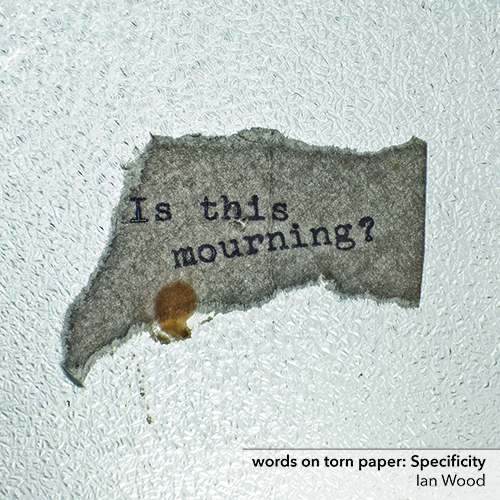 words on torn paper: Specificity